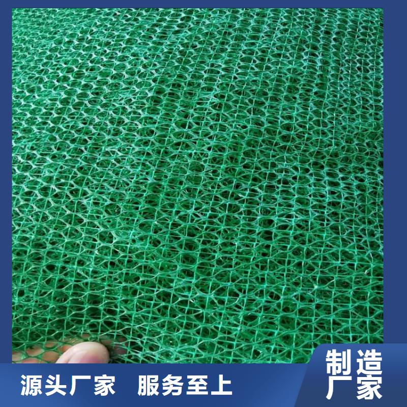 三维植被网土工格室源厂供货