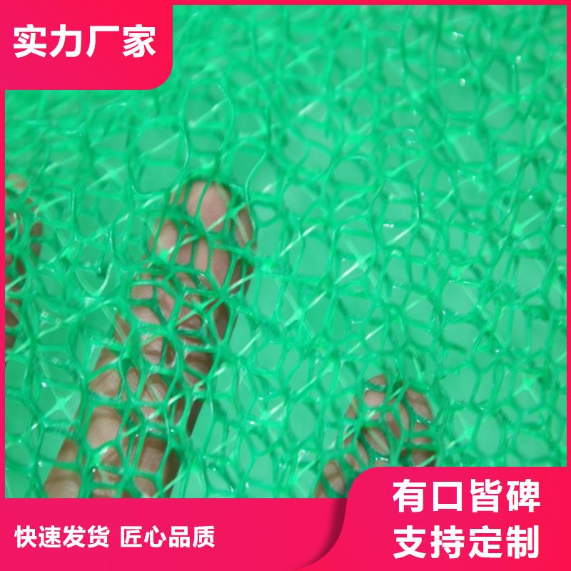 三维植被网土工格室源厂供货