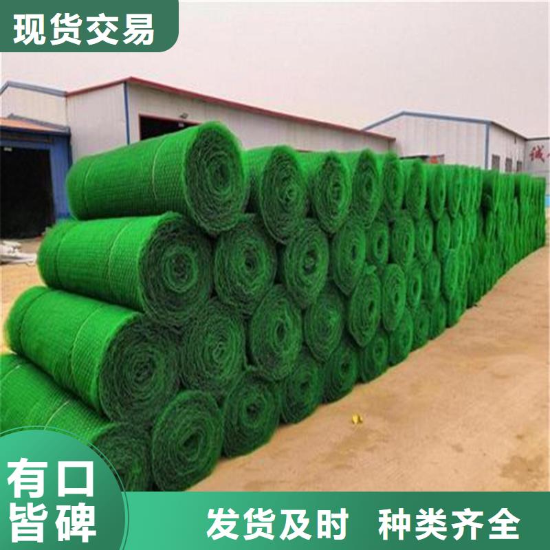 三维植被网土工格室源厂供货