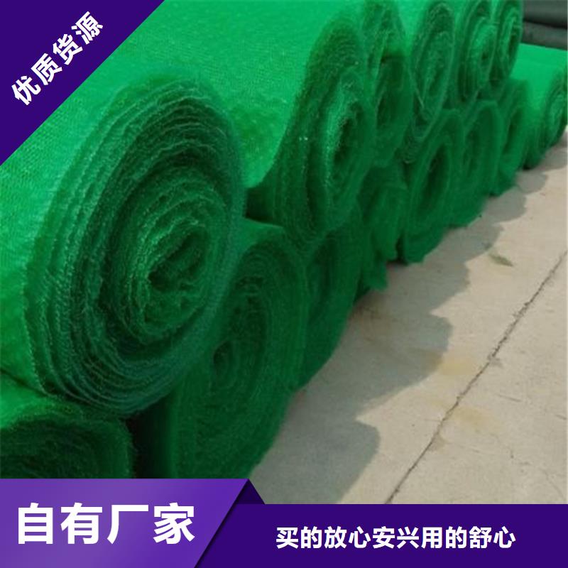 三维植被网土工格室源厂供货