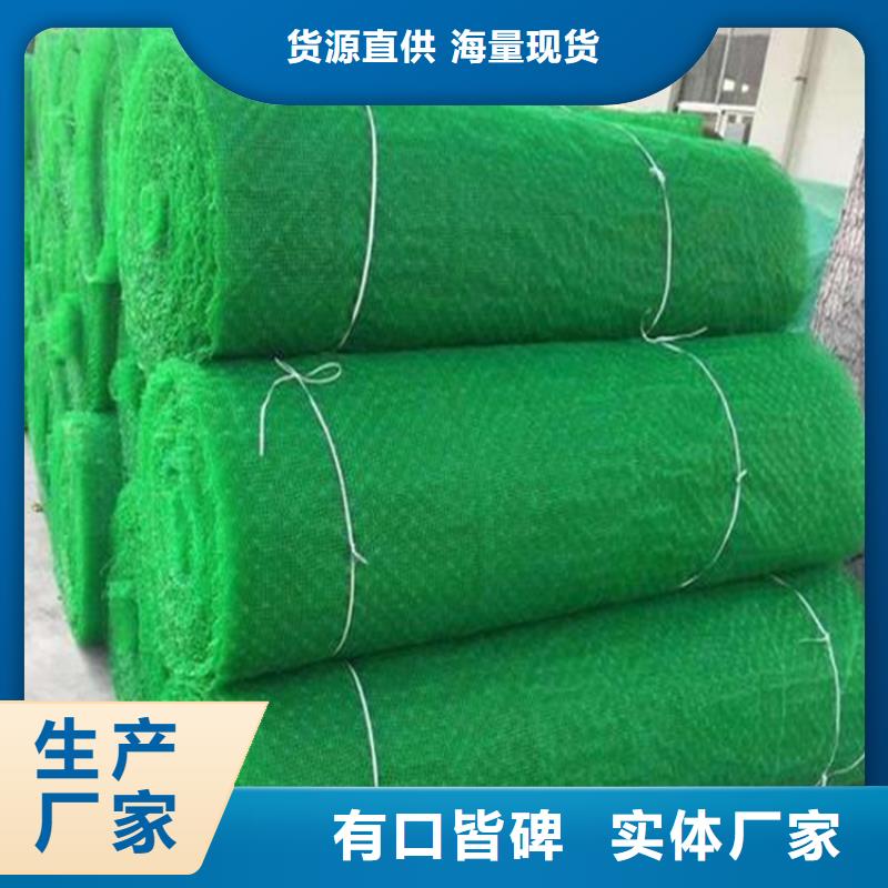 三维植被网土工格室源厂供货