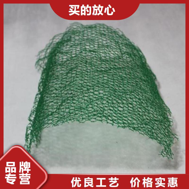 三维植被网土工格室源厂供货