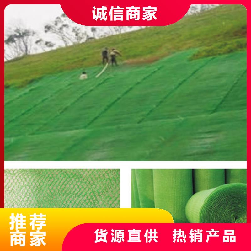 三维植被网土工格室源厂供货