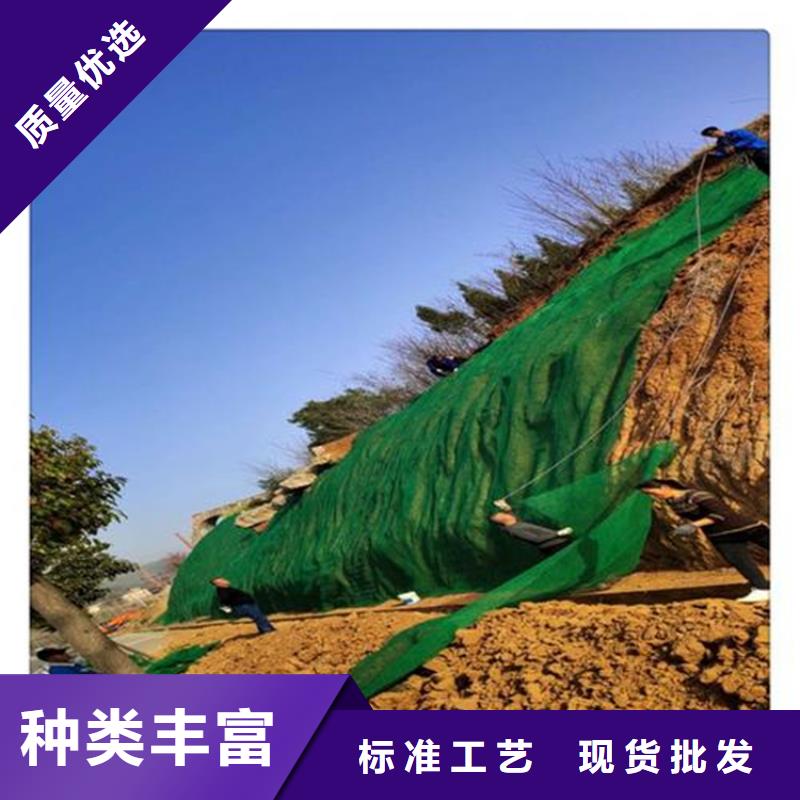 三维植被网土工格室源厂供货
