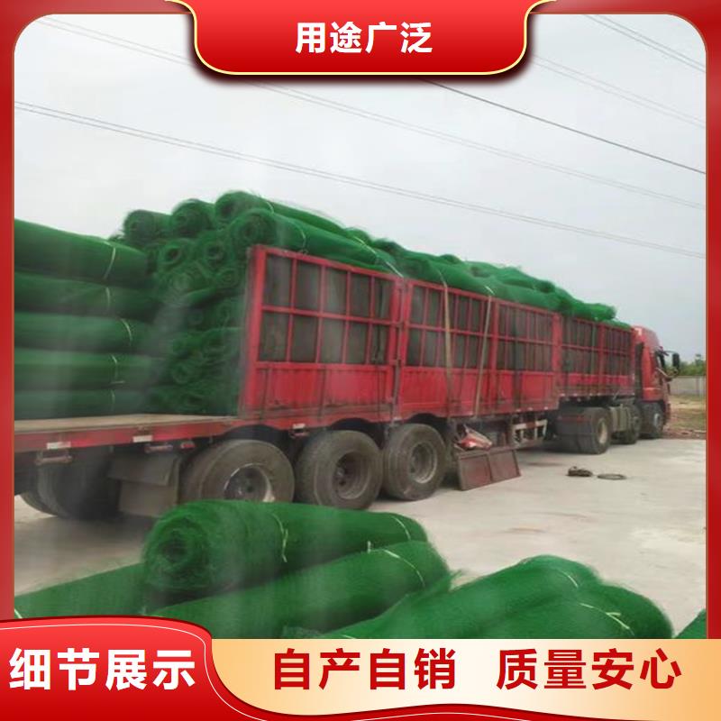 三维植被网土工格室源厂供货