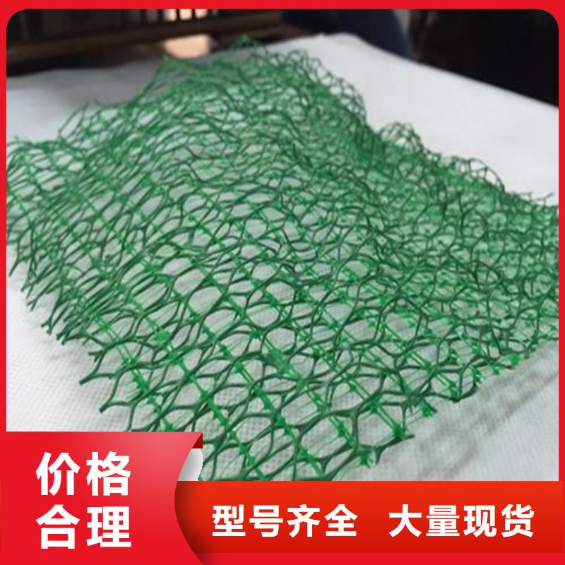三维植被网土工格室源厂供货