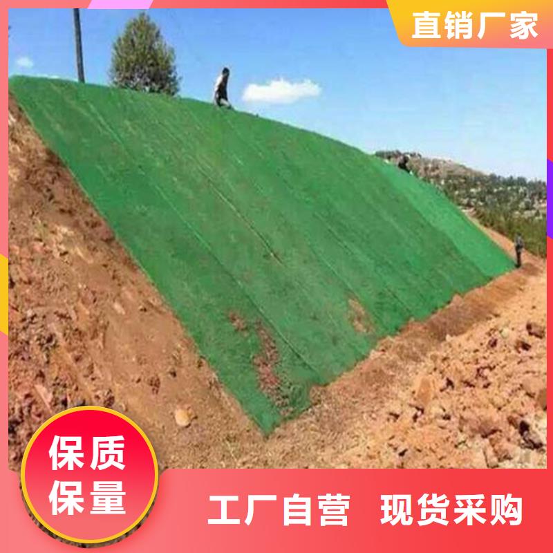 三维植被网土工格室源厂供货