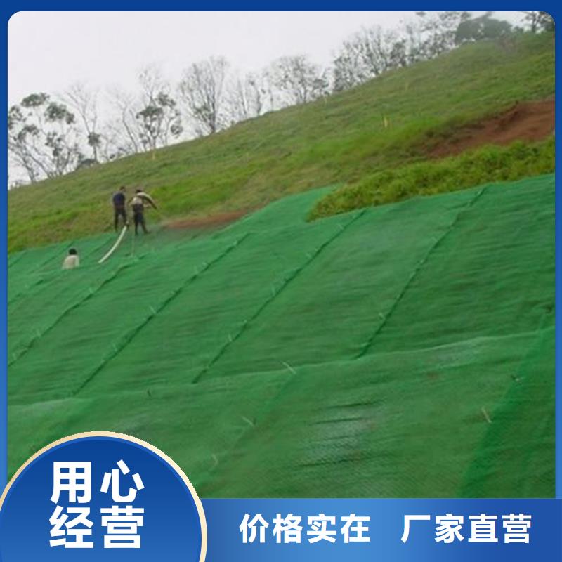 三维植被网土工格室源厂供货