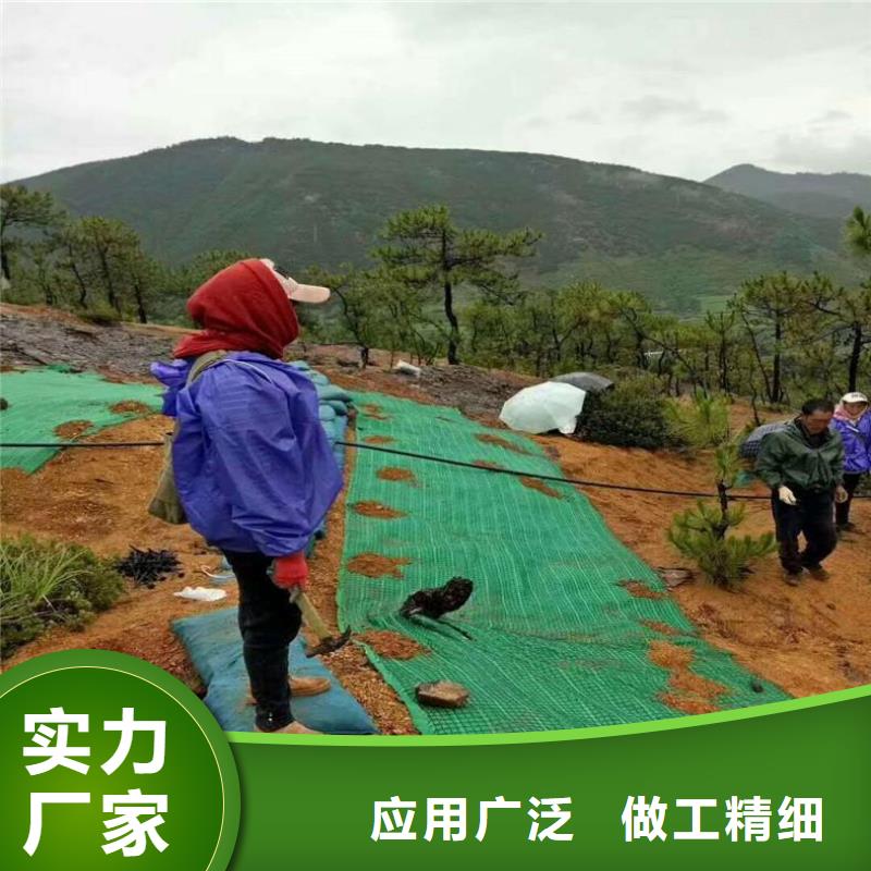 椰丝毯-【土工膜】安装简单