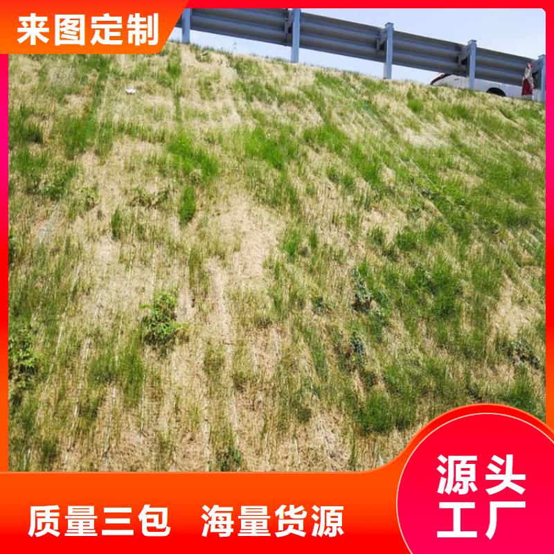 生态环保草毯生态椰丝毯