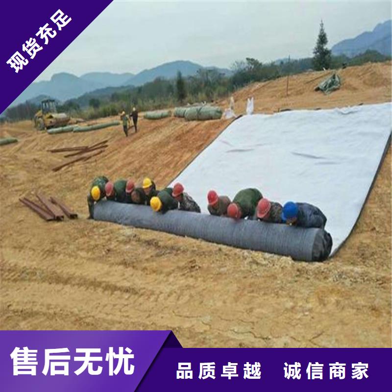 膨润土防水毯【玻纤土工格栅】质量检测