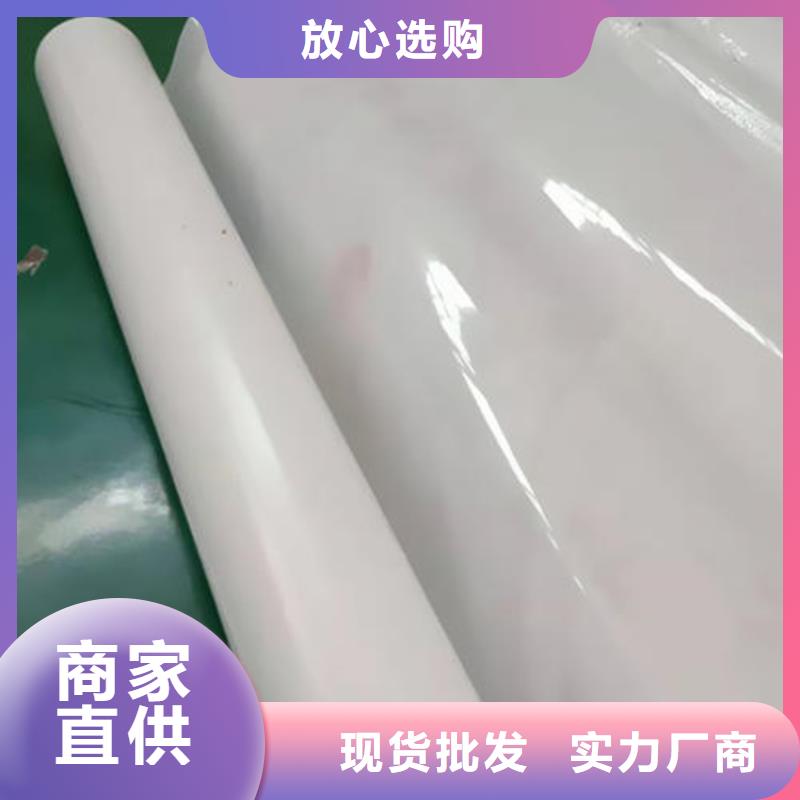 防水板塑料土工格栅本地配送