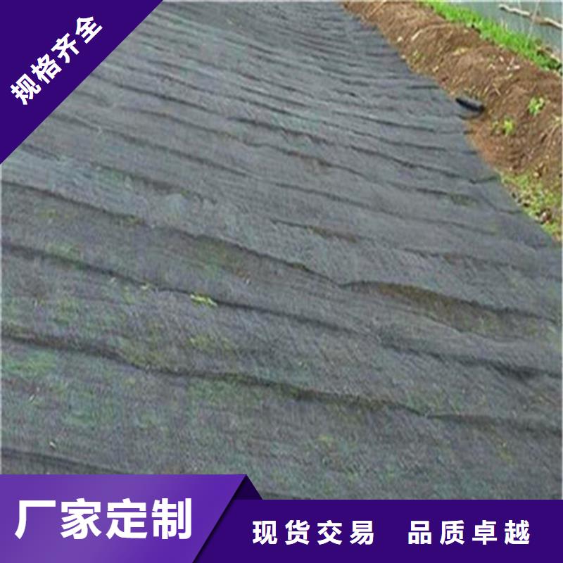 水土保护毯_玻纤格栅厂家案例