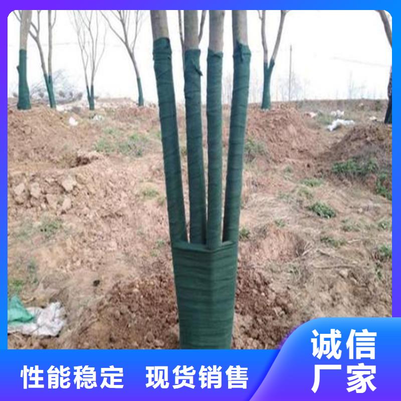 裹树布玻纤格栅库存量大