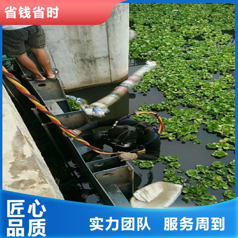 水下本地潜水搜索团队诚信