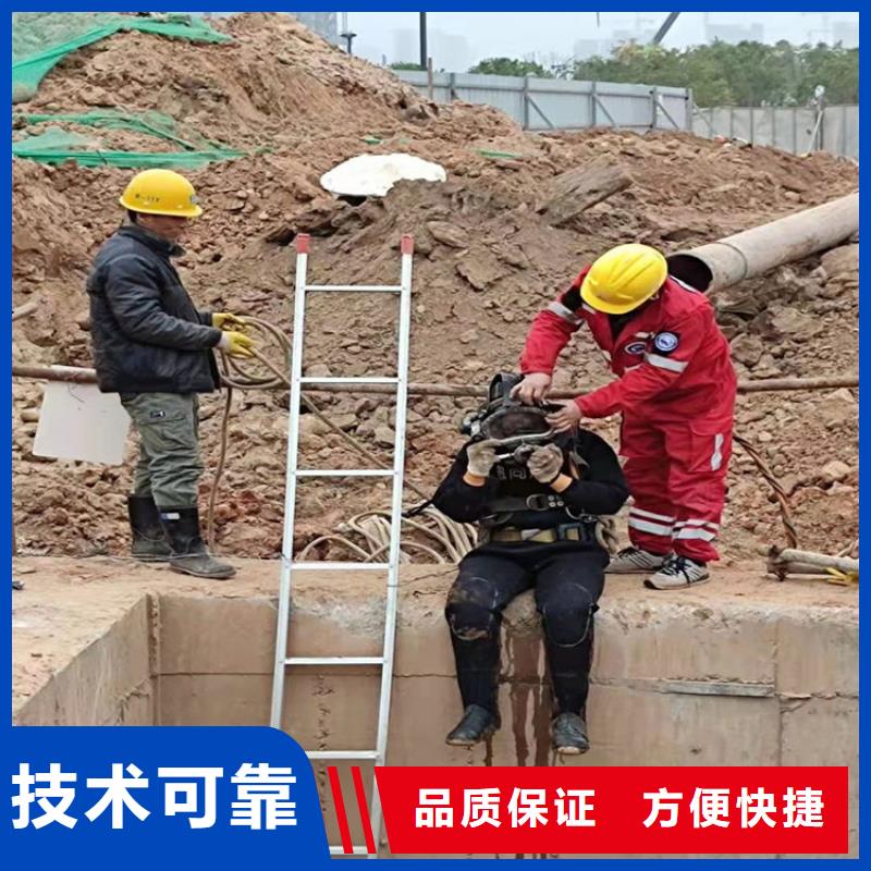 水下 【水下照相】多年经验