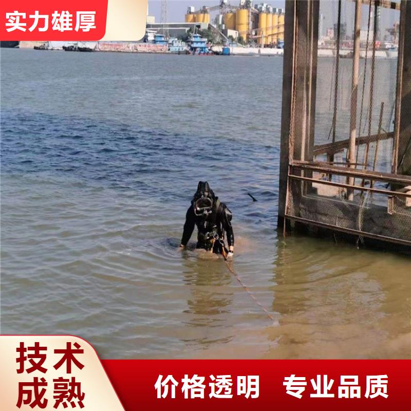 水下水域检查正规公司