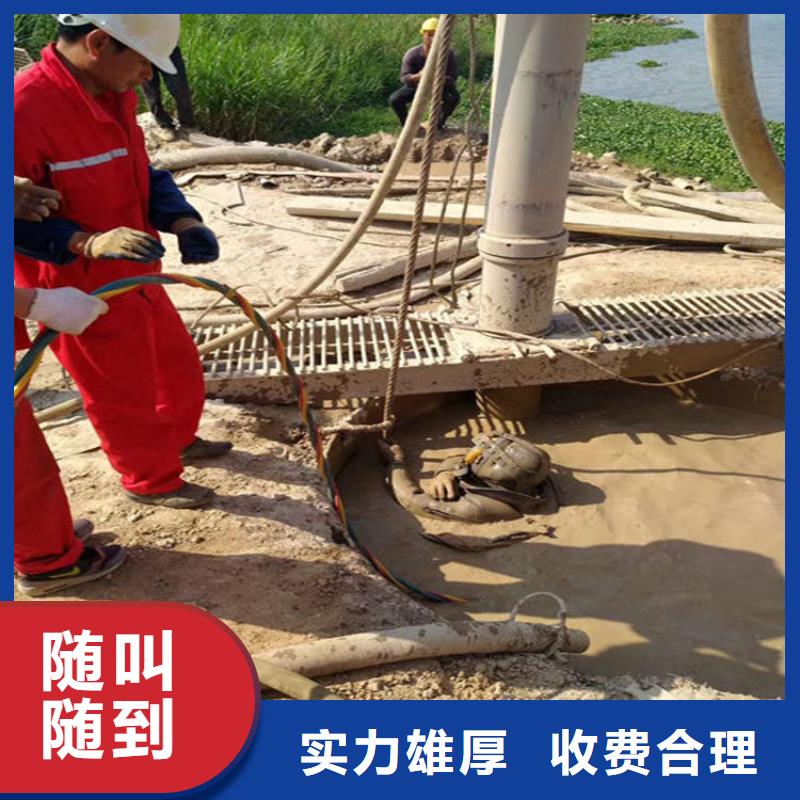 水下 【水下照相】多年经验