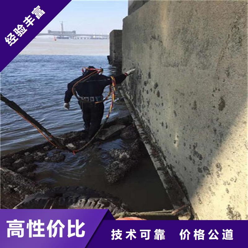 水下水域检查正规公司