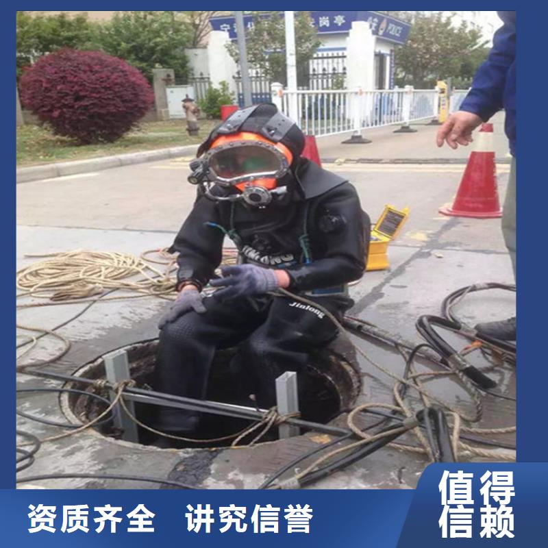 水下 【水下照相】多年经验