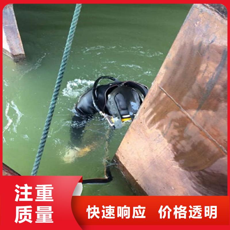 水下本地潜水员团队2025公司精心