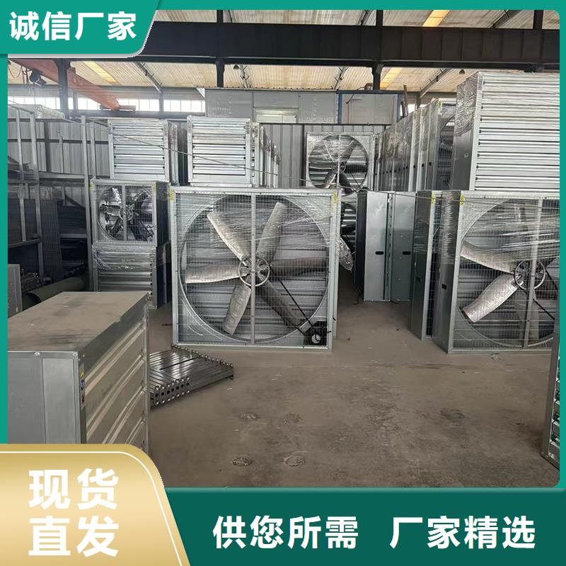 D系列排气道风帽供货商