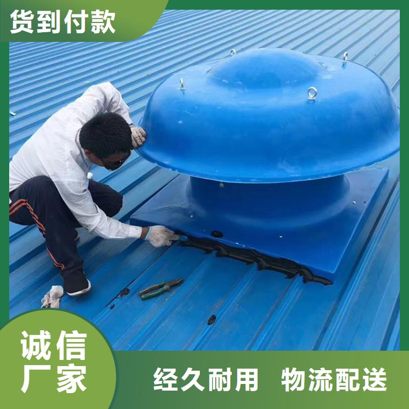 1200型无动力风帽货源充足