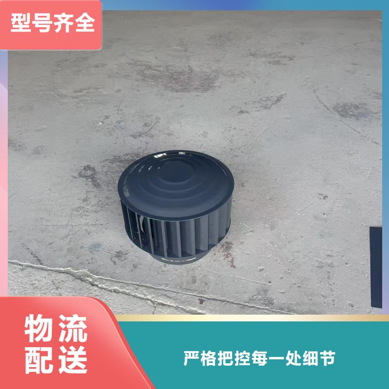 县C系列防倒灌风帽定制价格