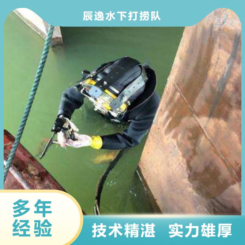 南头镇水下打捞凶器厂家