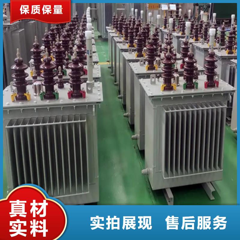 规格全的s11-m-250/10油浸式变压器厂家