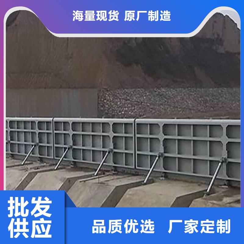  翻板闸门厂家十分靠谱