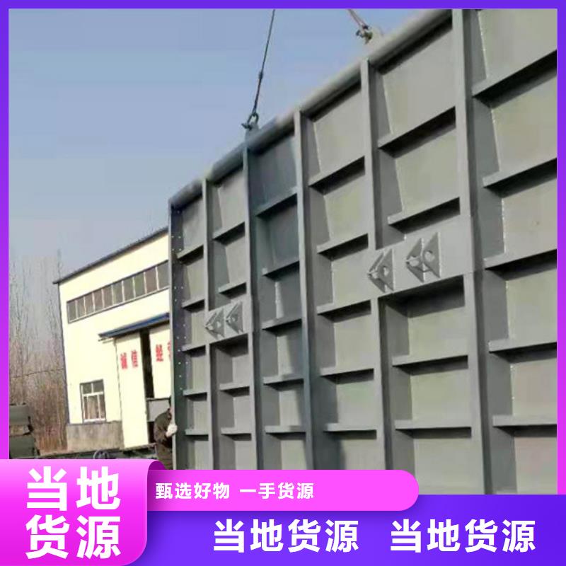  翻板闸门品质优选