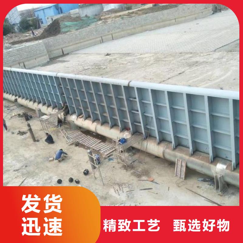  翻板闸门实力厂家