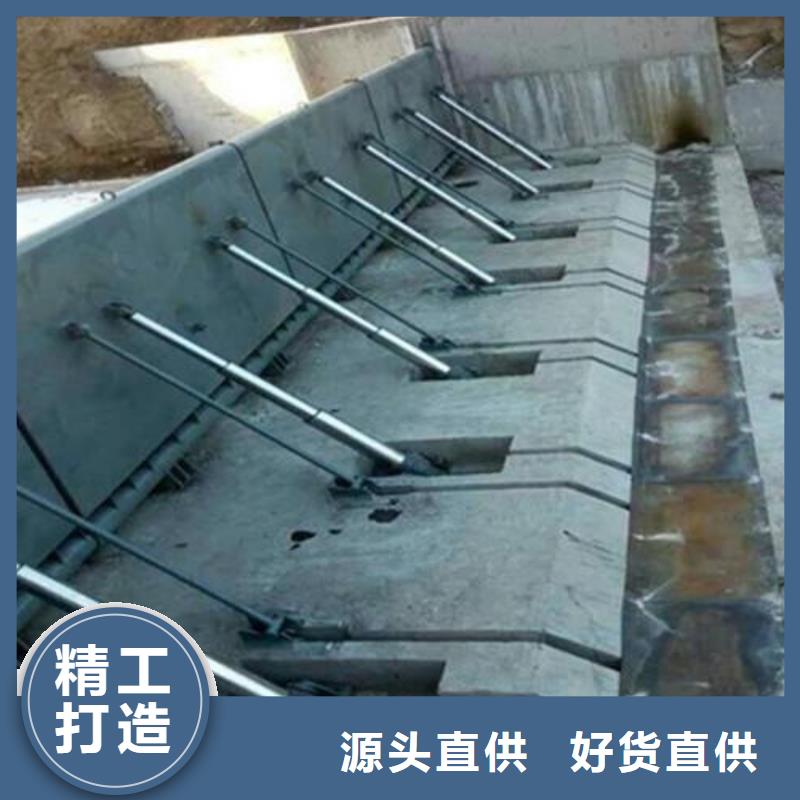  翻板闸门品质优选