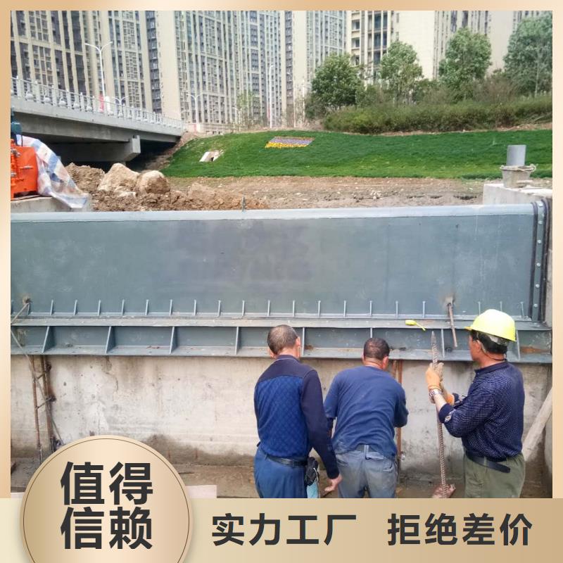 翻板闸门钢制拍门多种场景适用