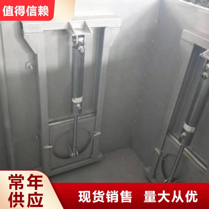 截流井闸门自有厂家