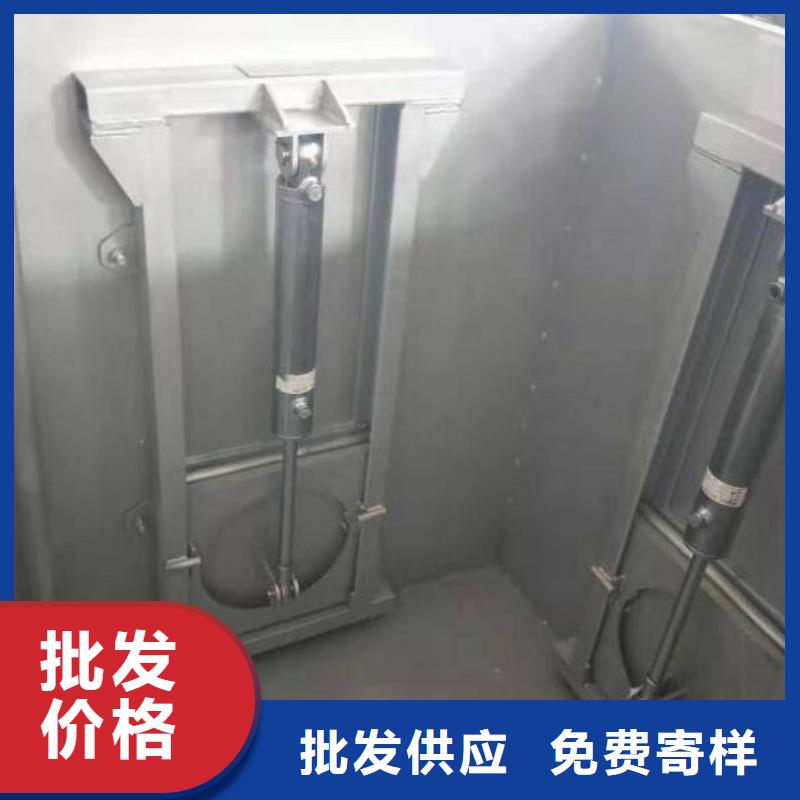 截流井闸门品种全