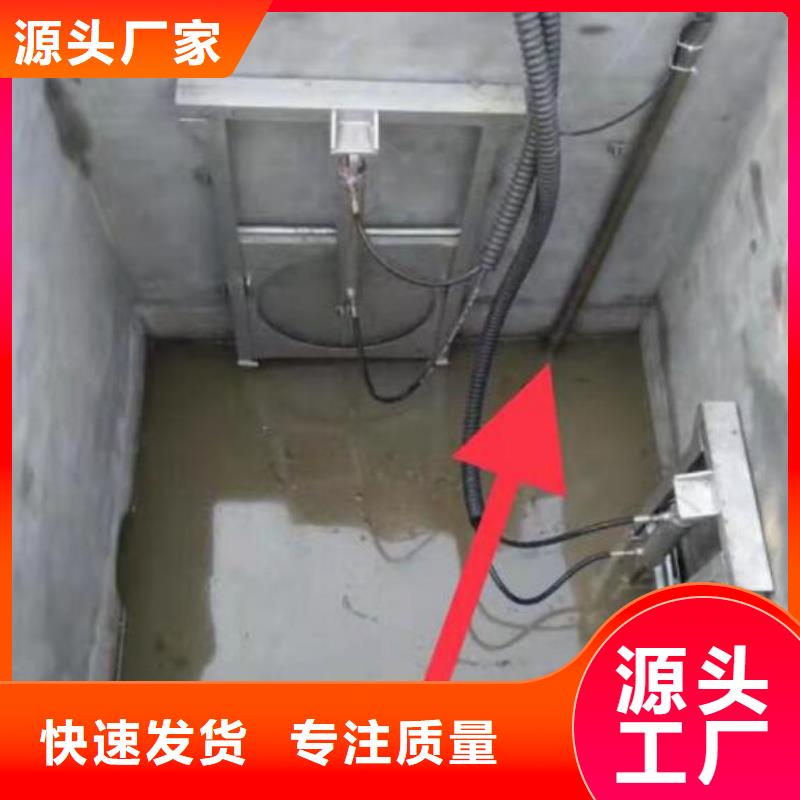  截流井闸门品种全