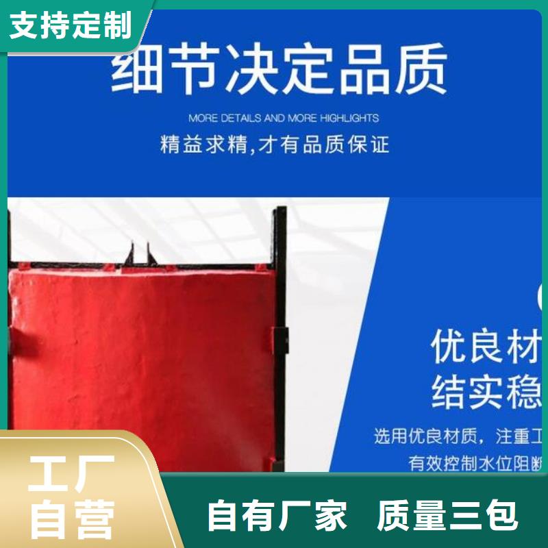 截流井闸门_平面铸铁闸门懂您所需