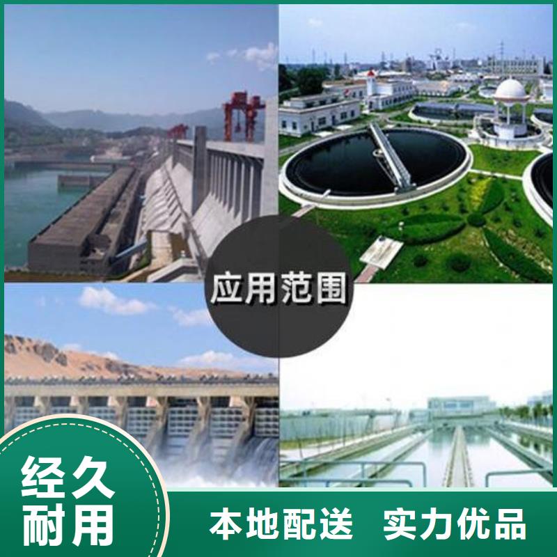  截流井闸门发货迅速