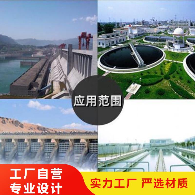  截流井闸门生产厂家