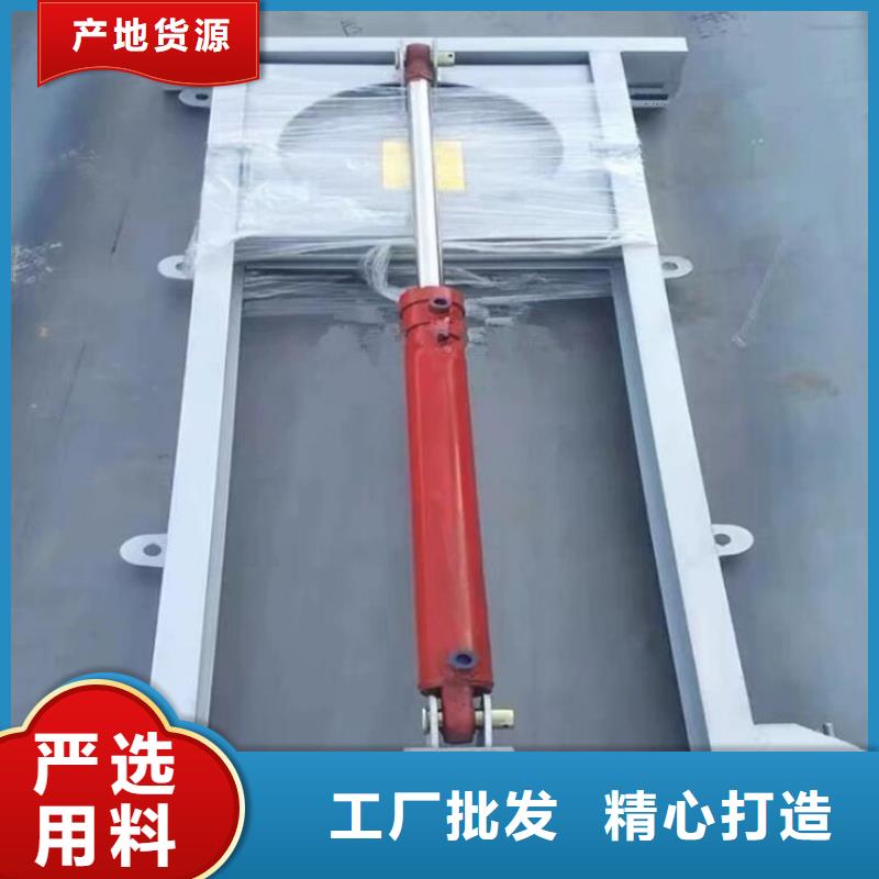  截流井闸门品种全