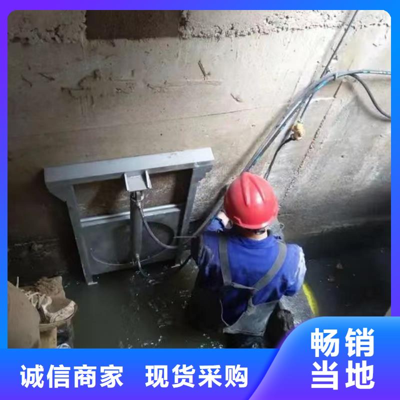 截流井闸门复合拍门来图定制