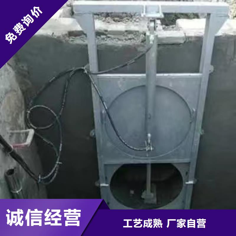 截流井闸门_平面铸铁闸门懂您所需