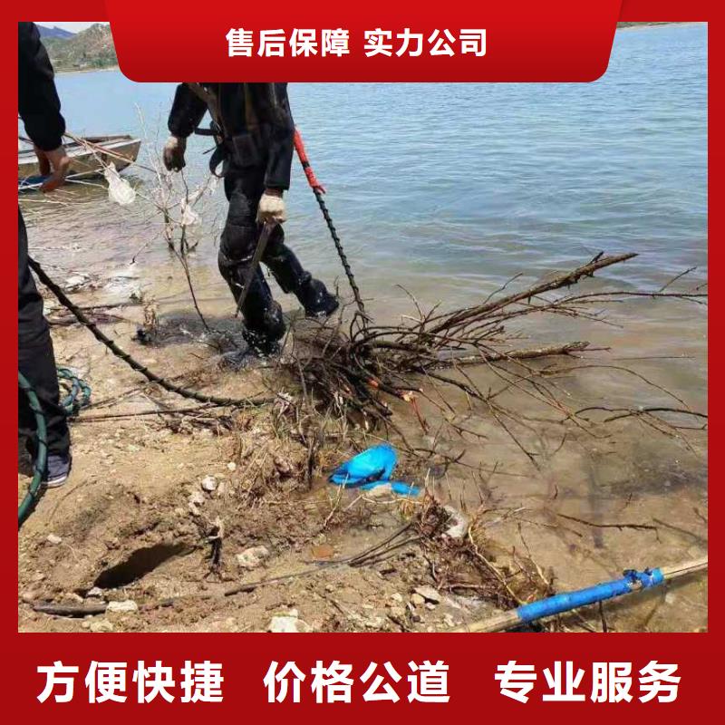 蛙人水下砌墙公司品类多