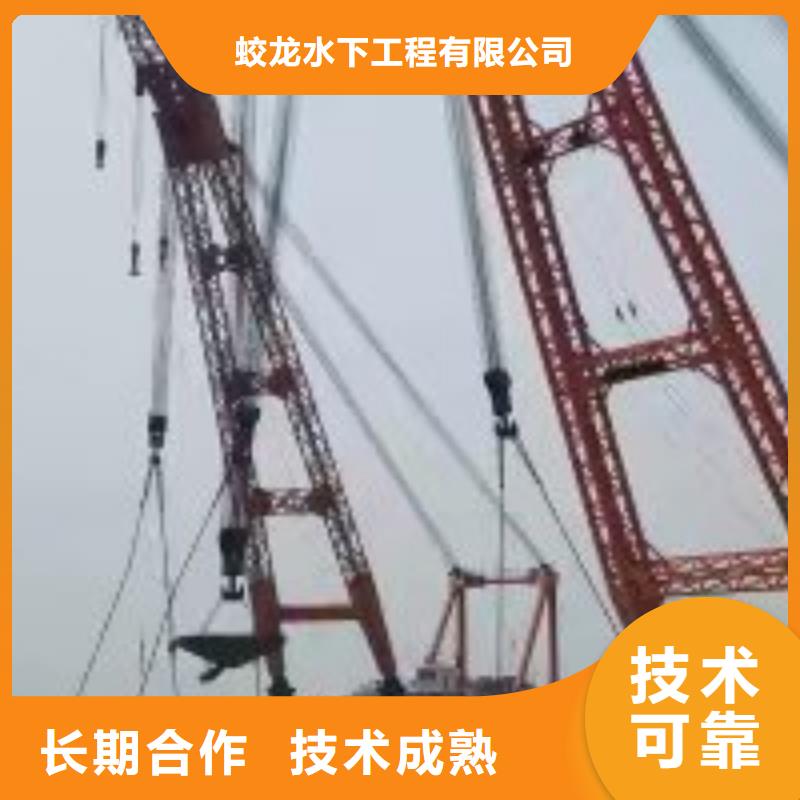 闸门水下堵漏公司-闸门水下堵漏公司供货商