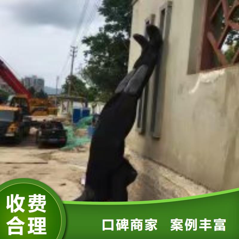 潜水服务公司本地潜水员团队优质服务