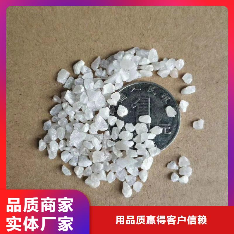 石英砂【pam阳离子】一站式供应