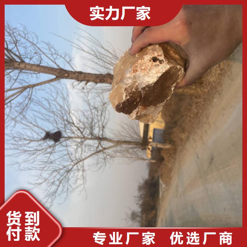 石英砂,椰壳粉末活性炭您想要的我们都有