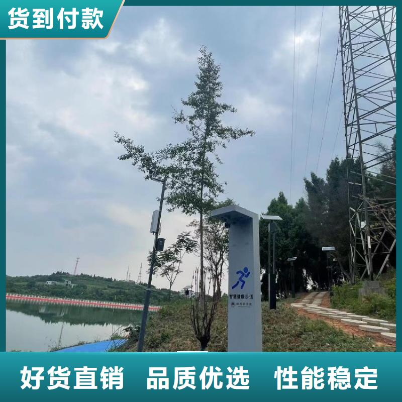 智慧绿道方案厂家（维艾狄尔）
